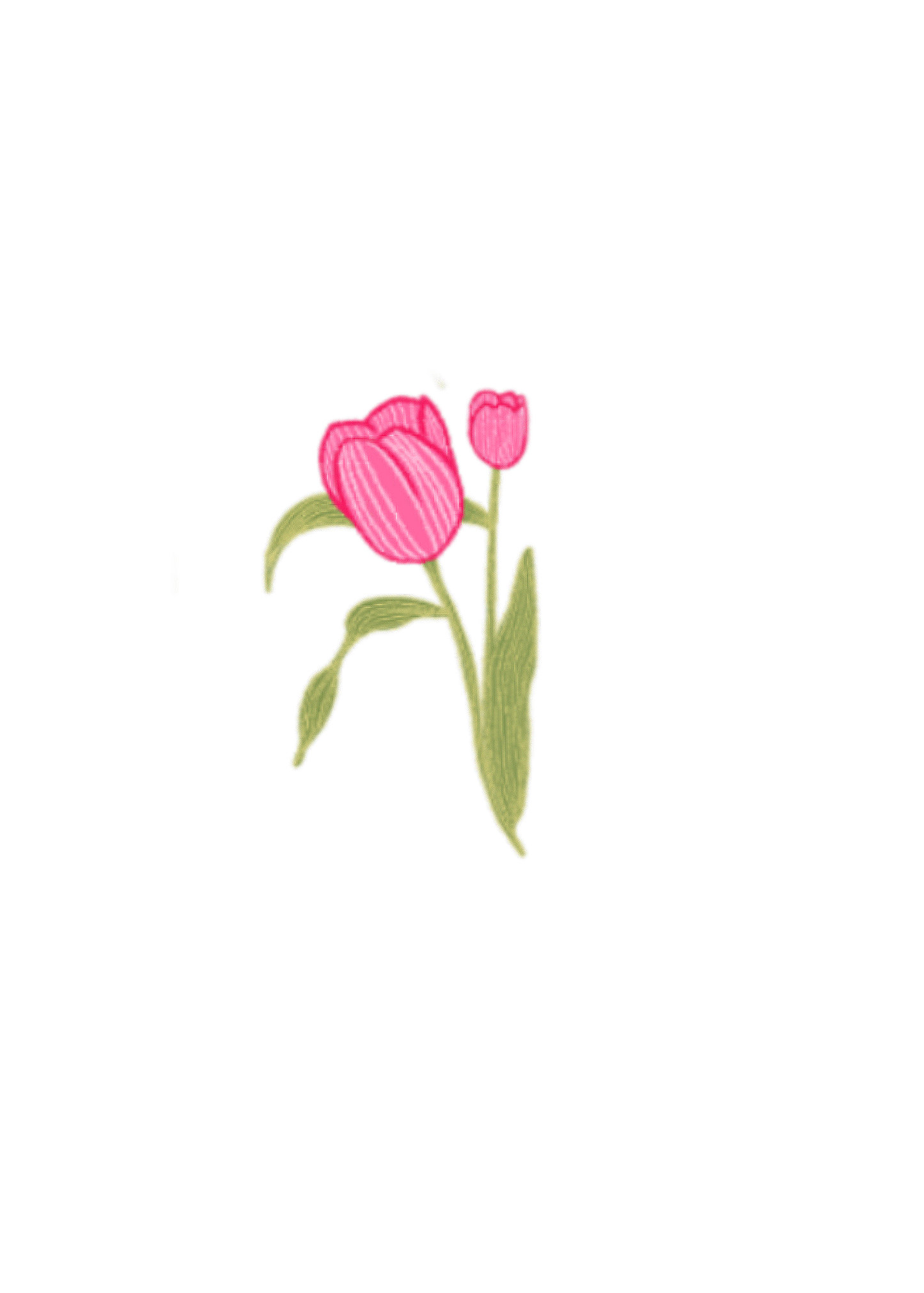 Tulip - Sticker