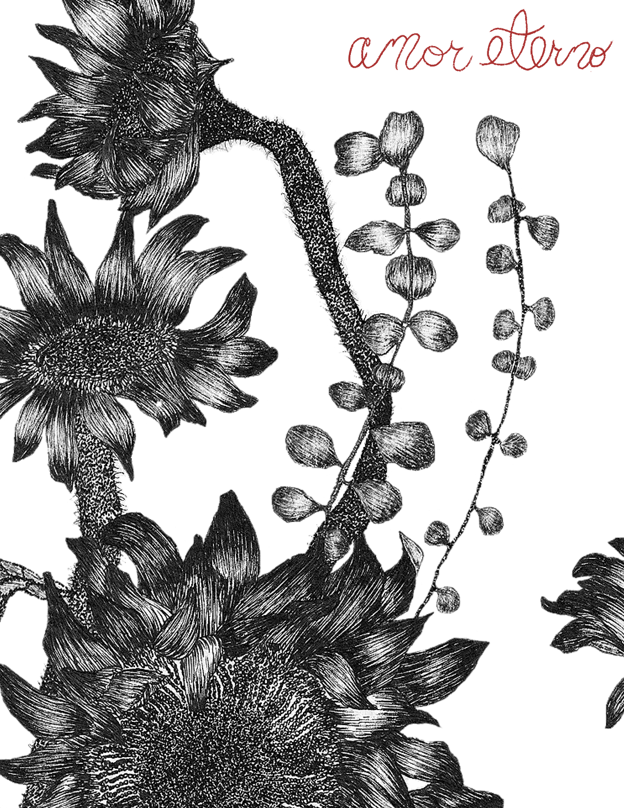 Amor Eterno Greeting Card